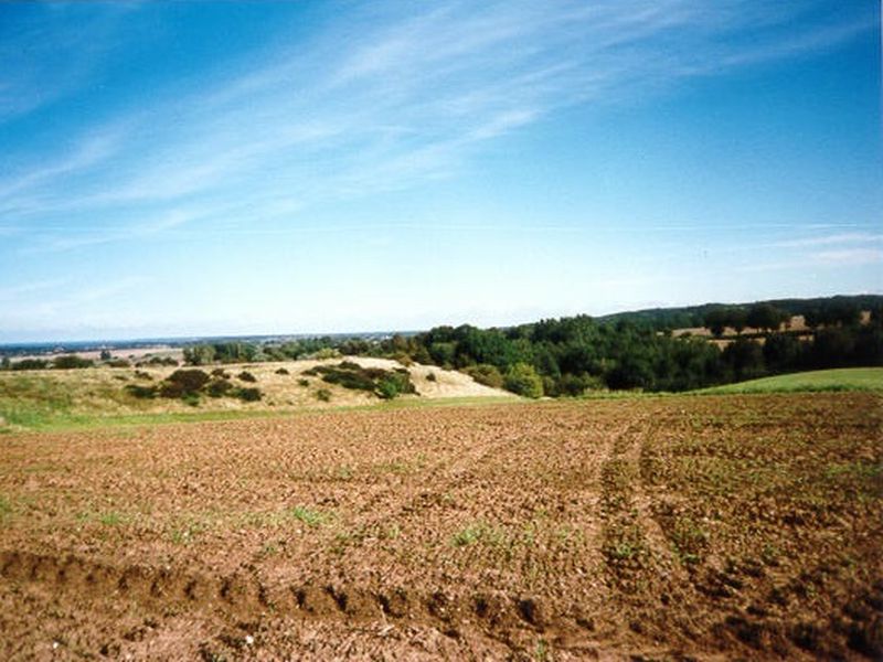 /images/kborn/natur/natur_02.jpg