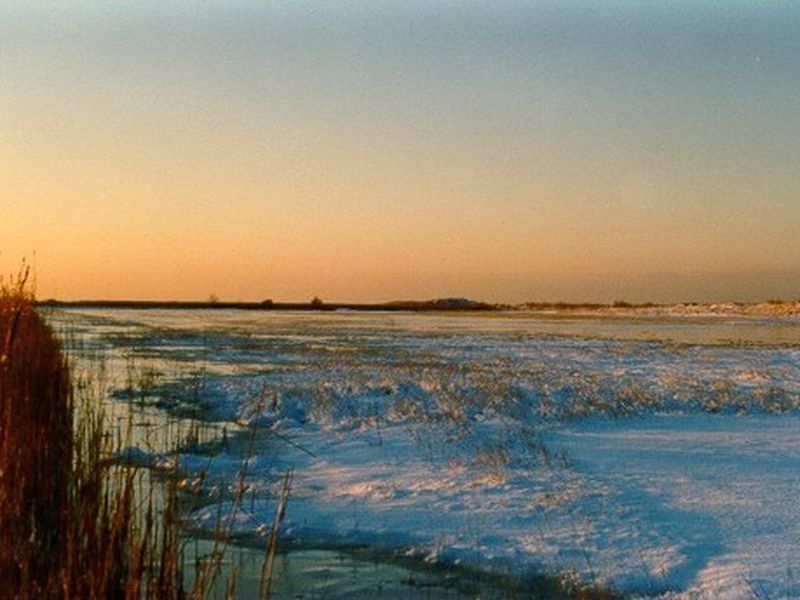 /images/kborn/natur/natur_winter6.jpg