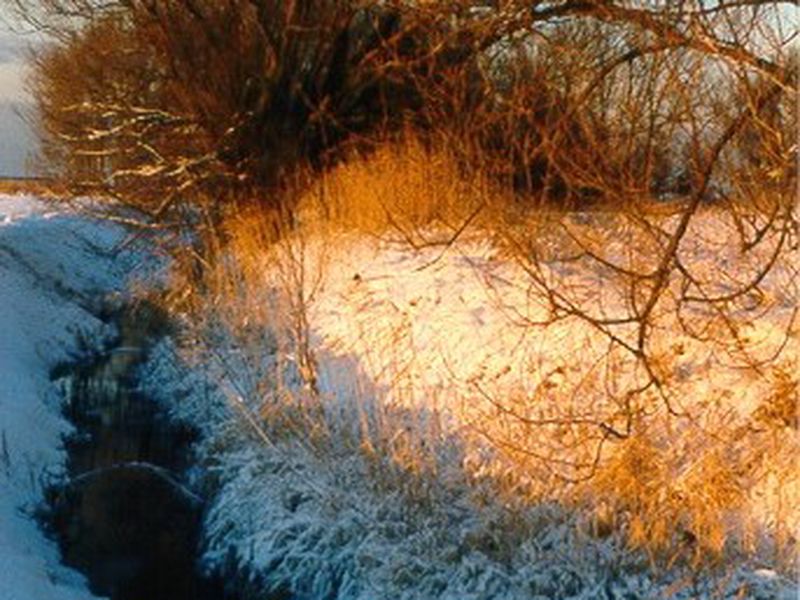 /images/kborn/natur/natur_winter7.jpg