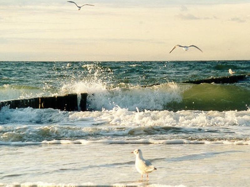 /images/kborn/strand/strand_moeven01.jpg