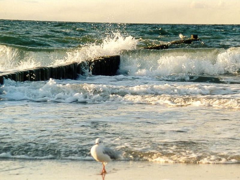 /images/kborn/strand/strand_moeven02.jpg