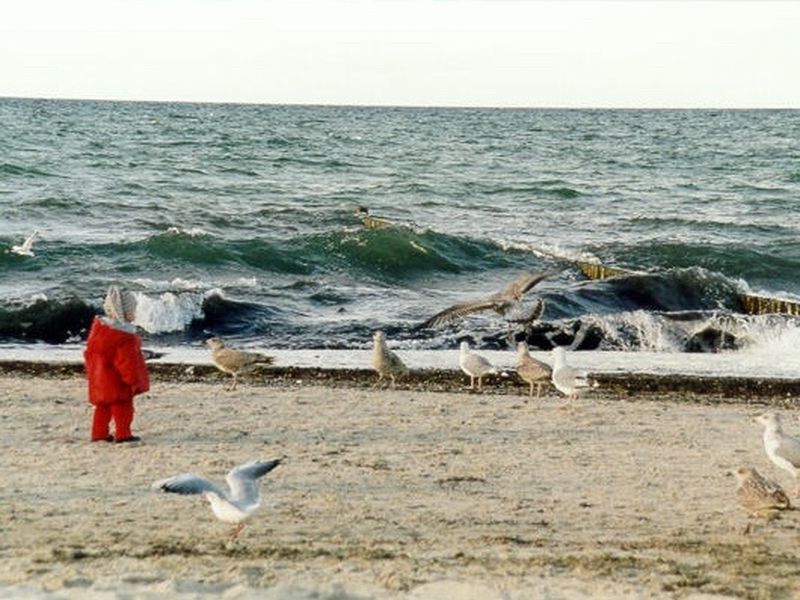 /images/kborn/strand/strand_moeven05.jpg